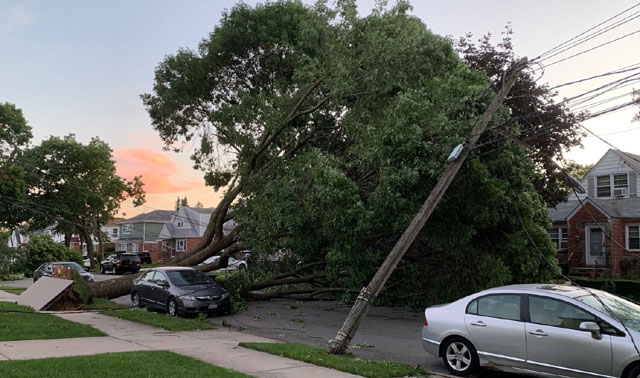 Wild weather leaves mass blackouts in Australia