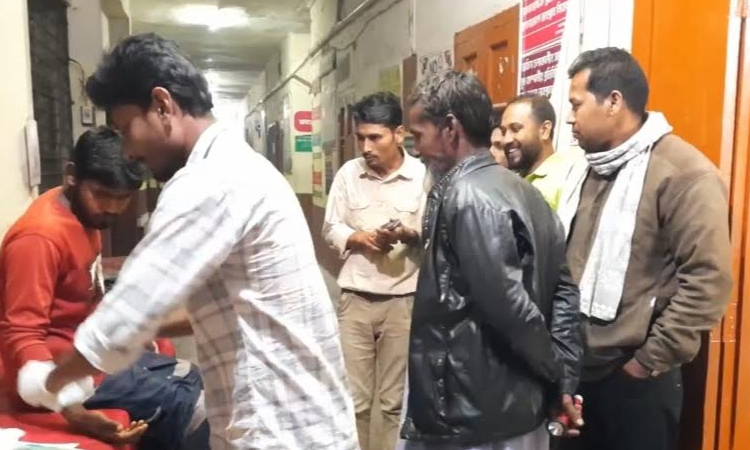 15 injured from dog bites in Sherpur