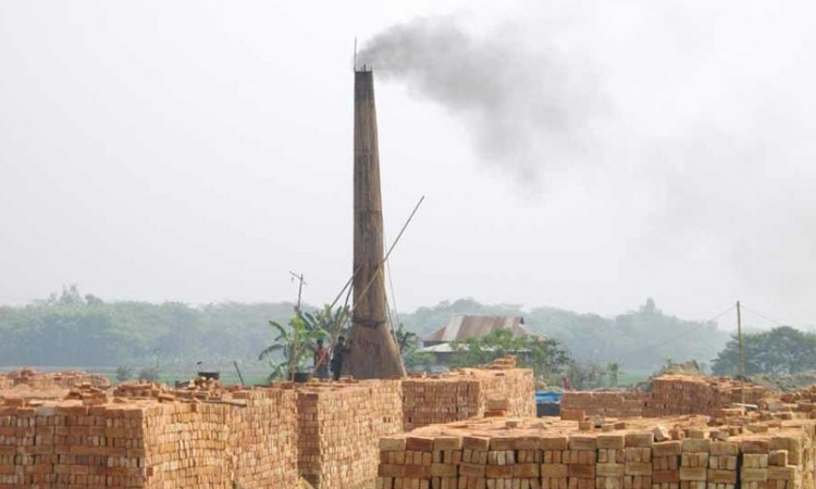 Mobile court demolishes 3 brick kilns in Chandpur