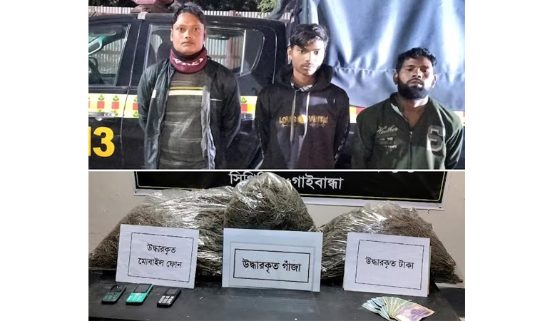 Three held with 23.5-kg hemp in Gaibandha
