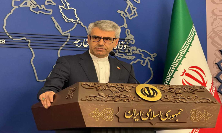Iran says US decision to not renew Iraq sanctions waiver 'illegal'