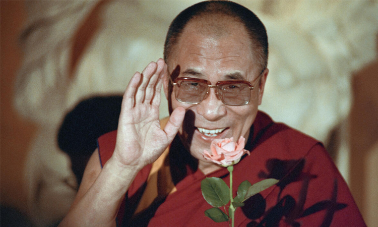 Dalai Lama book offers 'framework' for after his death