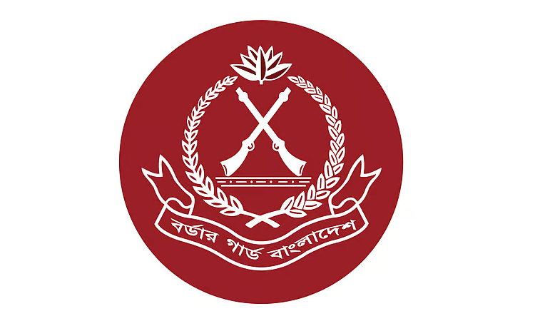 BGB saves an individual from 'mob violence' in Satkhira