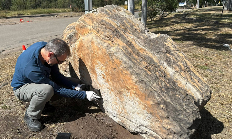 Trove of dinosaur footprints found at Australian school