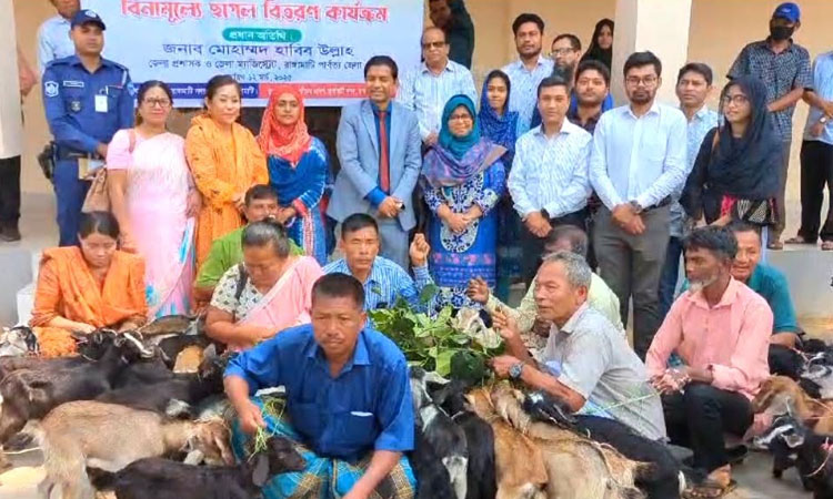 Goats distributed among fishermen in Rangamati