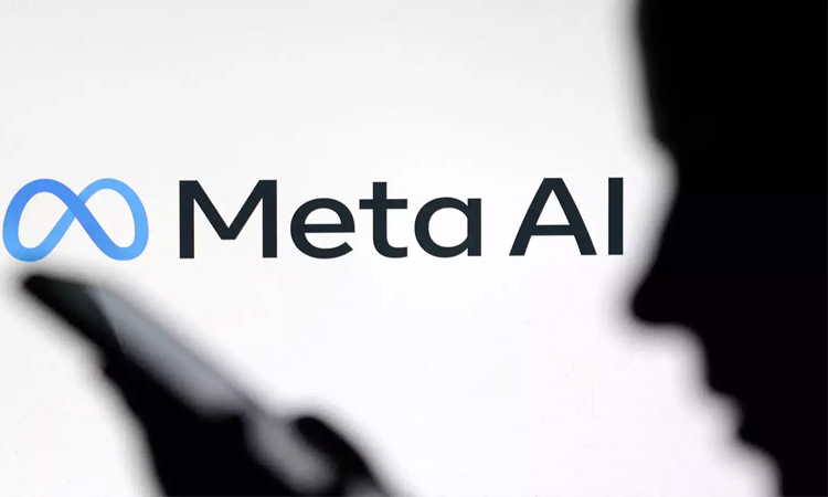 French book rights owners take on Meta over AI
