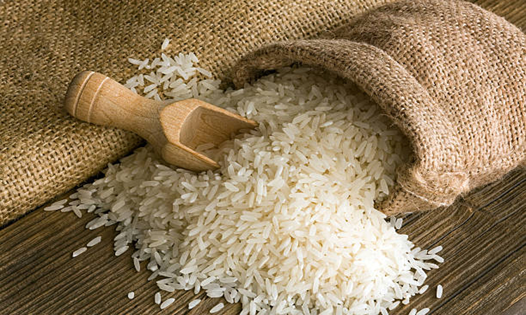 Govt distributes 462.88 metric tons rice among fishermen in Manikganj