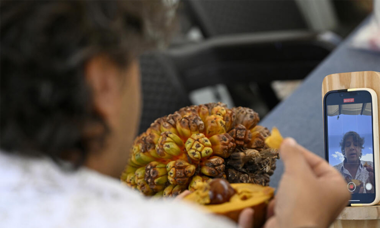 Colombia's 'Lord of the Fruit' fighting for native species
