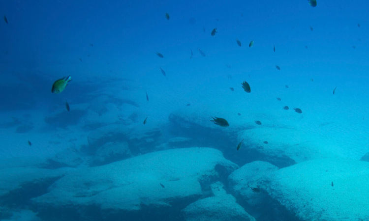 Why are proposed deep-sea mining rules so contentious?