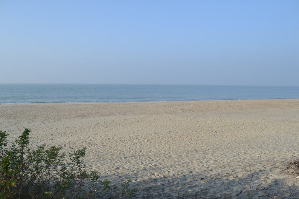 Initiative taken to transfer 9,467 acres to Forest Department in Sonadia