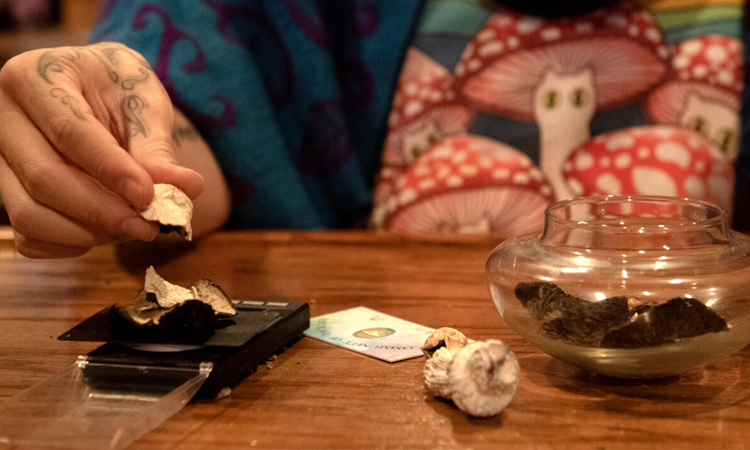 Legalizing magic mushrooms under Trump? Psychedelic fans remain skeptical