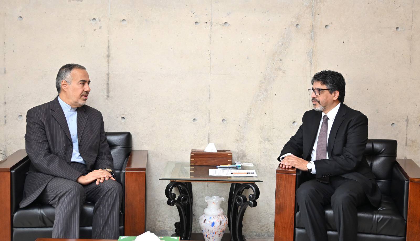 Iranian ambassador calls on FS