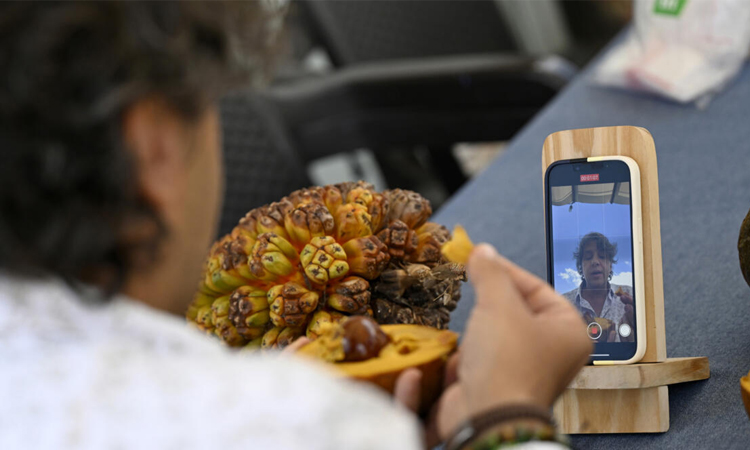 Colombia's 'Lord of the Fruit' fighting for native species
