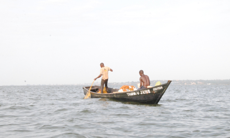 Climate warming reduces oxygen in global lakes: study