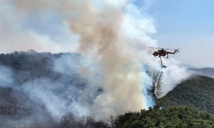 S. Korea authorities deploy choppers, troops to battle wildfire