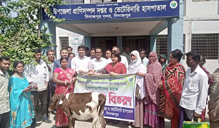 Govt distributes 73 cows among small ethnic groups in Dinajpur