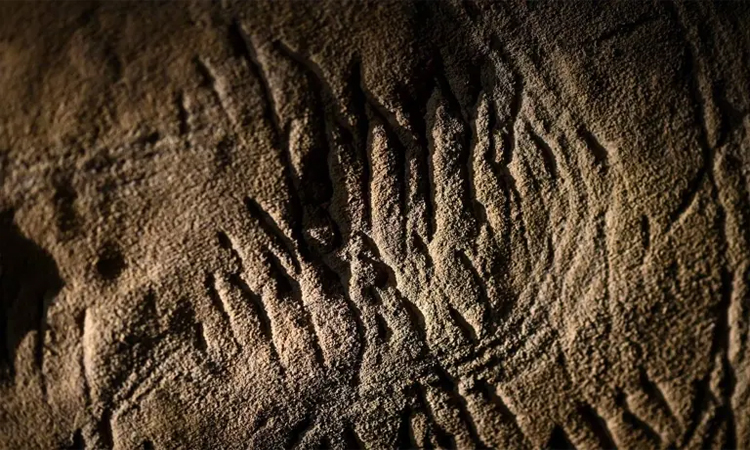 France's rarely seen cave art holds prehistoric secrets
