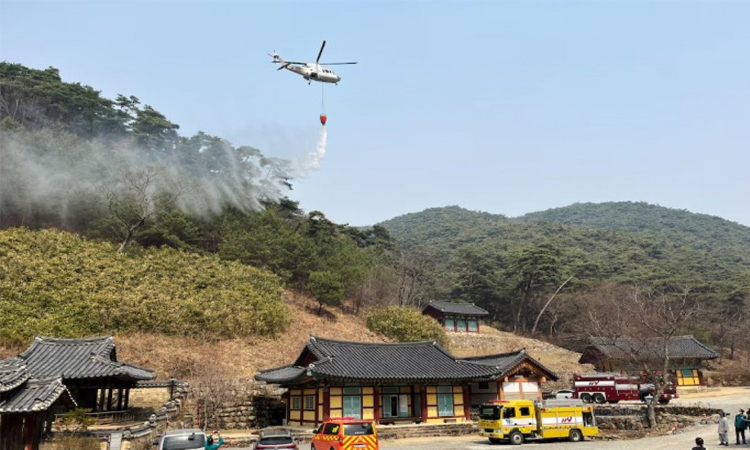 South Korea firefighting helicopter crashes, killing pilot: fire dept