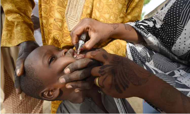 Trump administration to cut vaccine support to developing countries: report