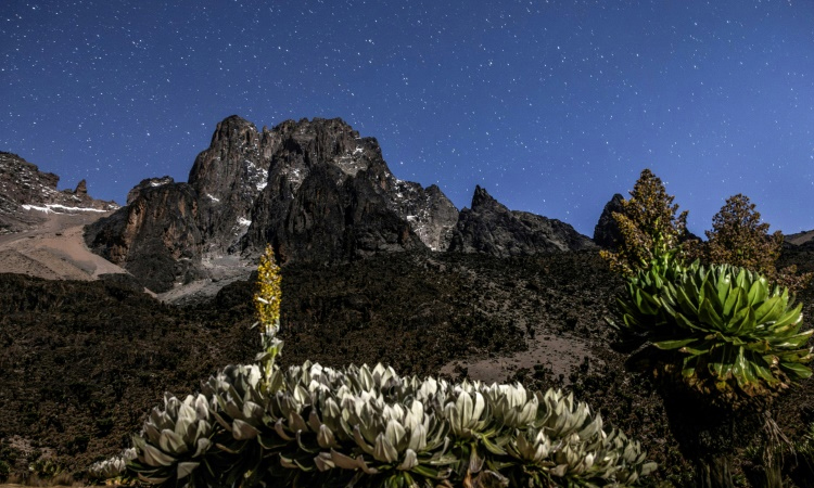 'It was beautiful': Mount Kenya's glaciers melting away