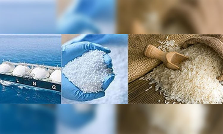 Govt to procure LNG, fertiliser, rice to meet growing demand