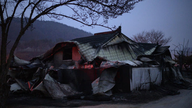 Rain gives some respite to South Korea firefighters as death toll rises