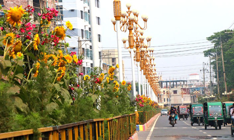 Rajshahi city's rich greenery draws visitors