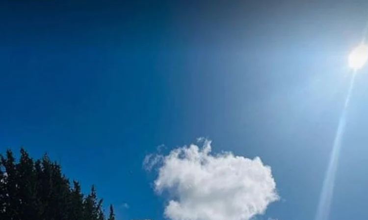 Mild heat wave sweeps over some districts