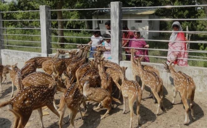 Tourists flock to Sundarbans to enjoy Eid vacation