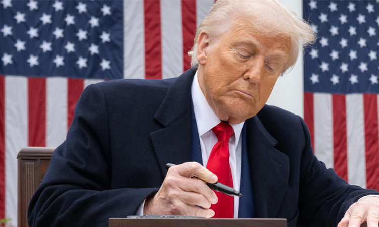 Stocks tank, havens rally as Trump tariffs fan trade war