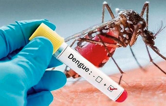 20 dengue patients hospitalized in last 24 hrs