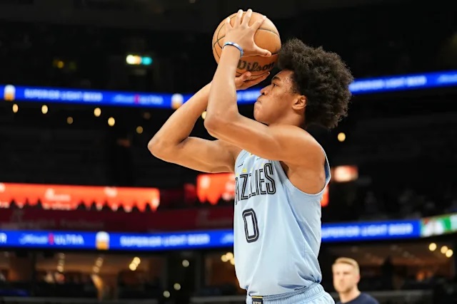Grizzlies rookie Wells recovering after horror fall