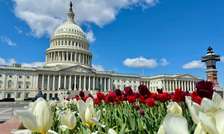 US House votes to limit judges' injunction power