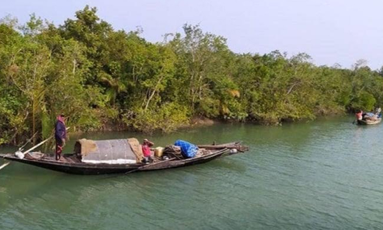 BCG rescues 33 abducted fishermen from Sundarbans