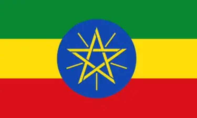 Seven Ethiopian journalists detained over terrorism allegations: CPJ