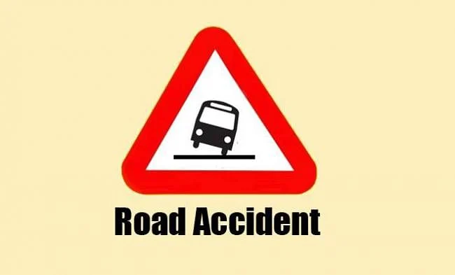Woman killed in Sherpur road accident