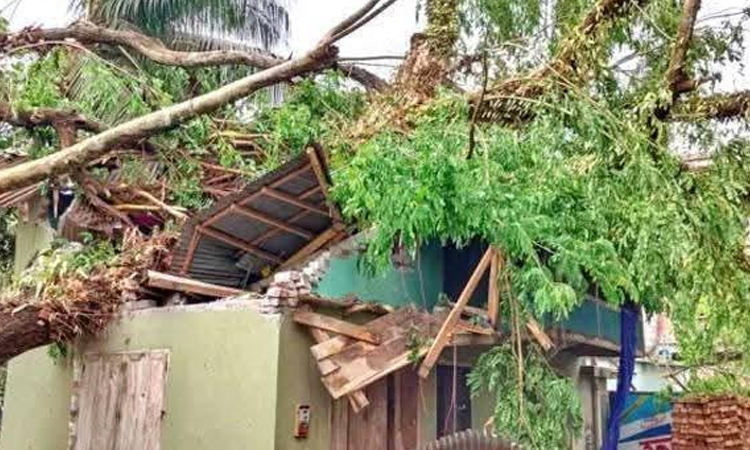 Nor'wester damages houses, crops in Lalmonirhat