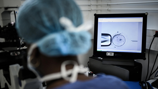 Australian IVF clinic admits embryo mix-up