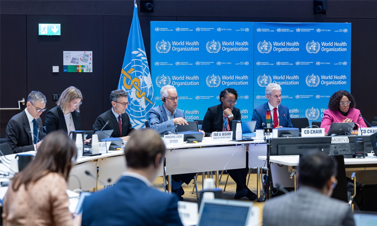 Pandemic agreement: key points under discussion