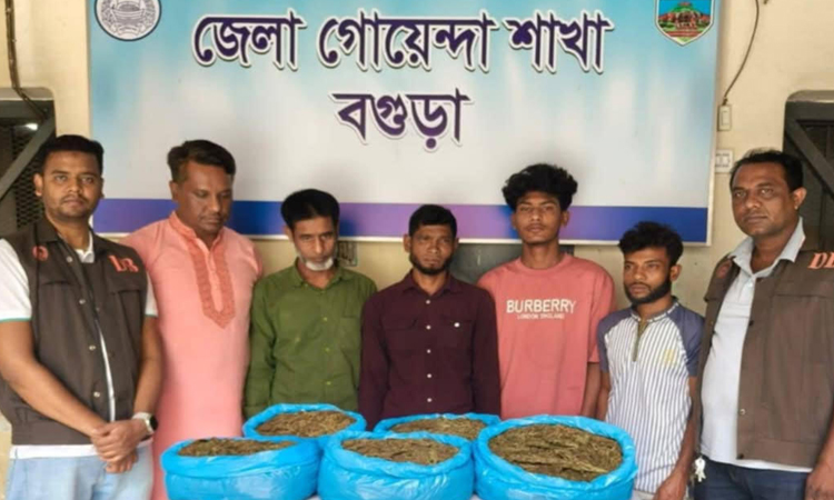 Five arrested with 10 kg hemp in Bogura