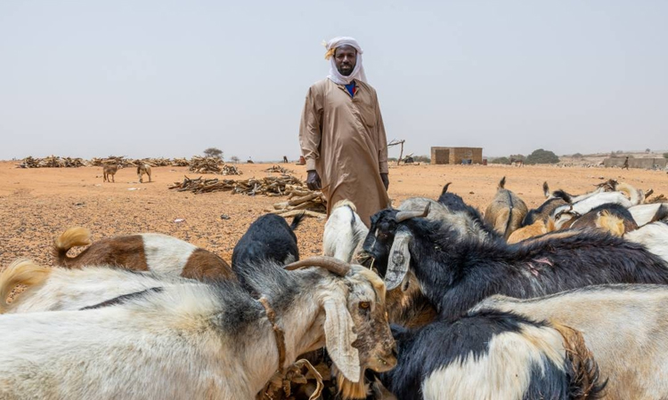 London hosts talks to find 'pathway' to end Sudan war