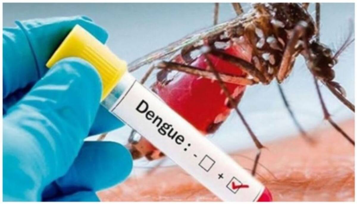 41 dengue patients hospitalized in last 24 hrs