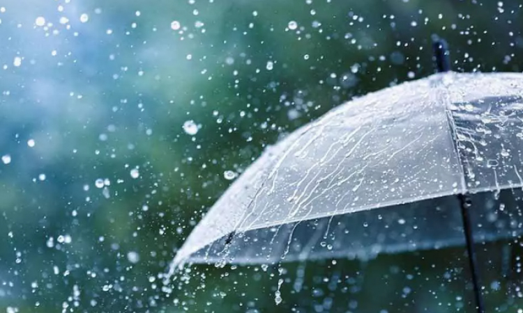 Rain or thunder showers likely in parts of country