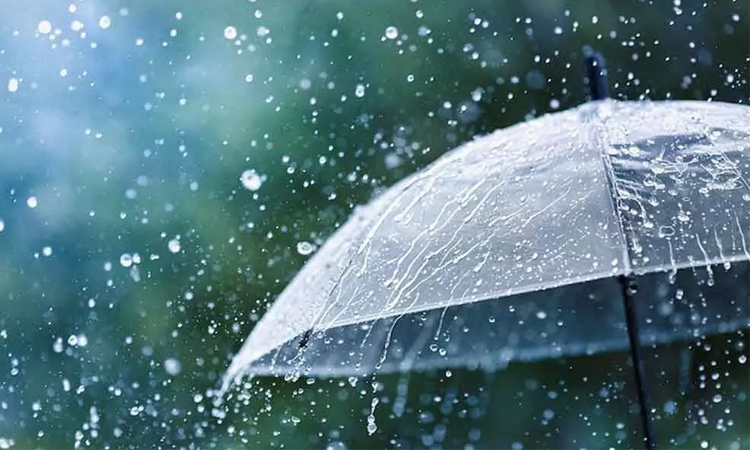Light to moderate rain likely in parts of country