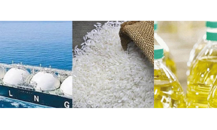 Govt to procure 2 cargos LNG, 3.30cr liters edible oil, 50,000 MTs rice