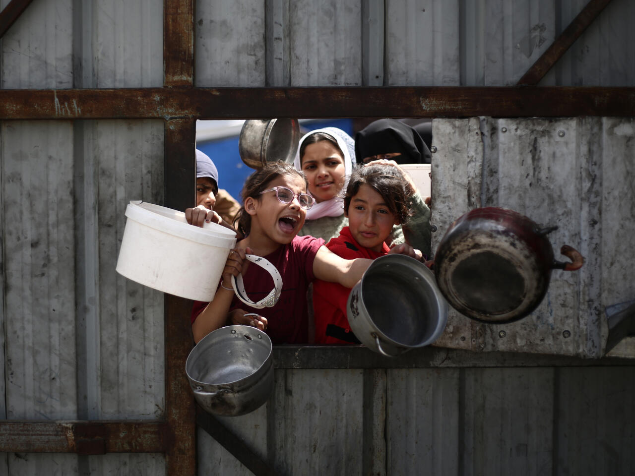 Gazans resort to turtle meat in hunt for food