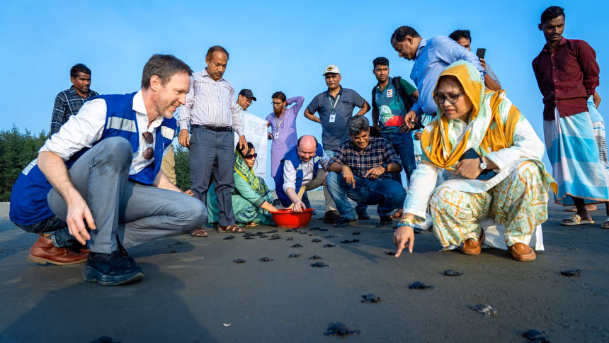 UNDP releases 116 sea turtle hatchlings on 'Earth Day'