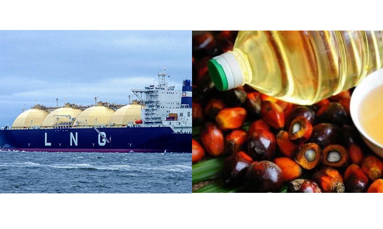 Govt to procure 1 cargo LNG, 2.20cr litre palm olein