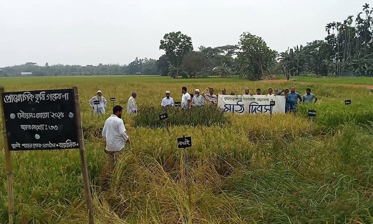 ‘Field Day’ held to select rice varieties in Netrokona 