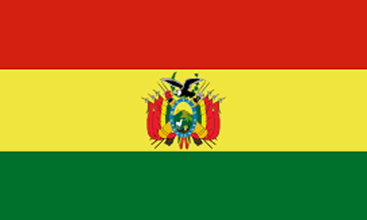 Bolivian miners block La Paz over fuel, dollar shortages